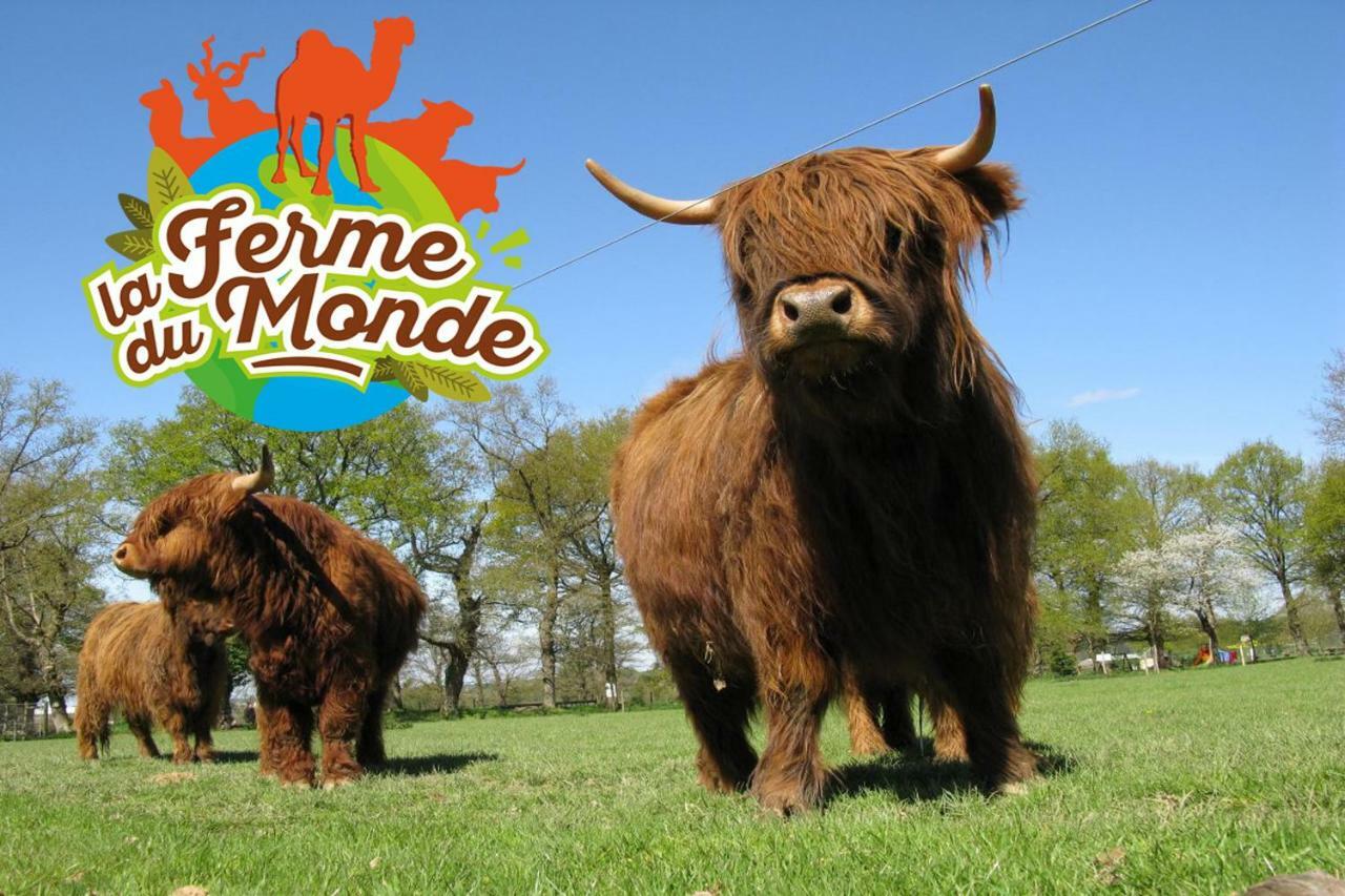 Popote Et Polochon Bed & Breakfast Saint-Martin-sur-Oust Eksteriør bilde