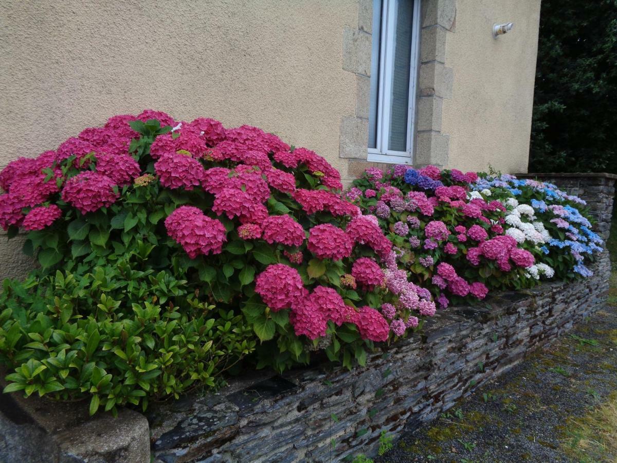 Popote Et Polochon Bed & Breakfast Saint-Martin-sur-Oust Eksteriør bilde