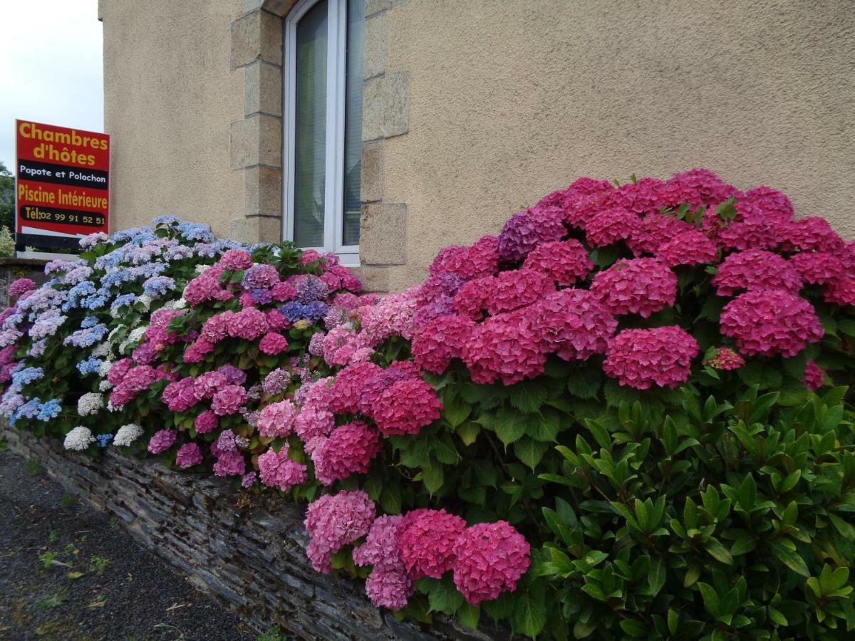 Popote Et Polochon Bed & Breakfast Saint-Martin-sur-Oust Eksteriør bilde